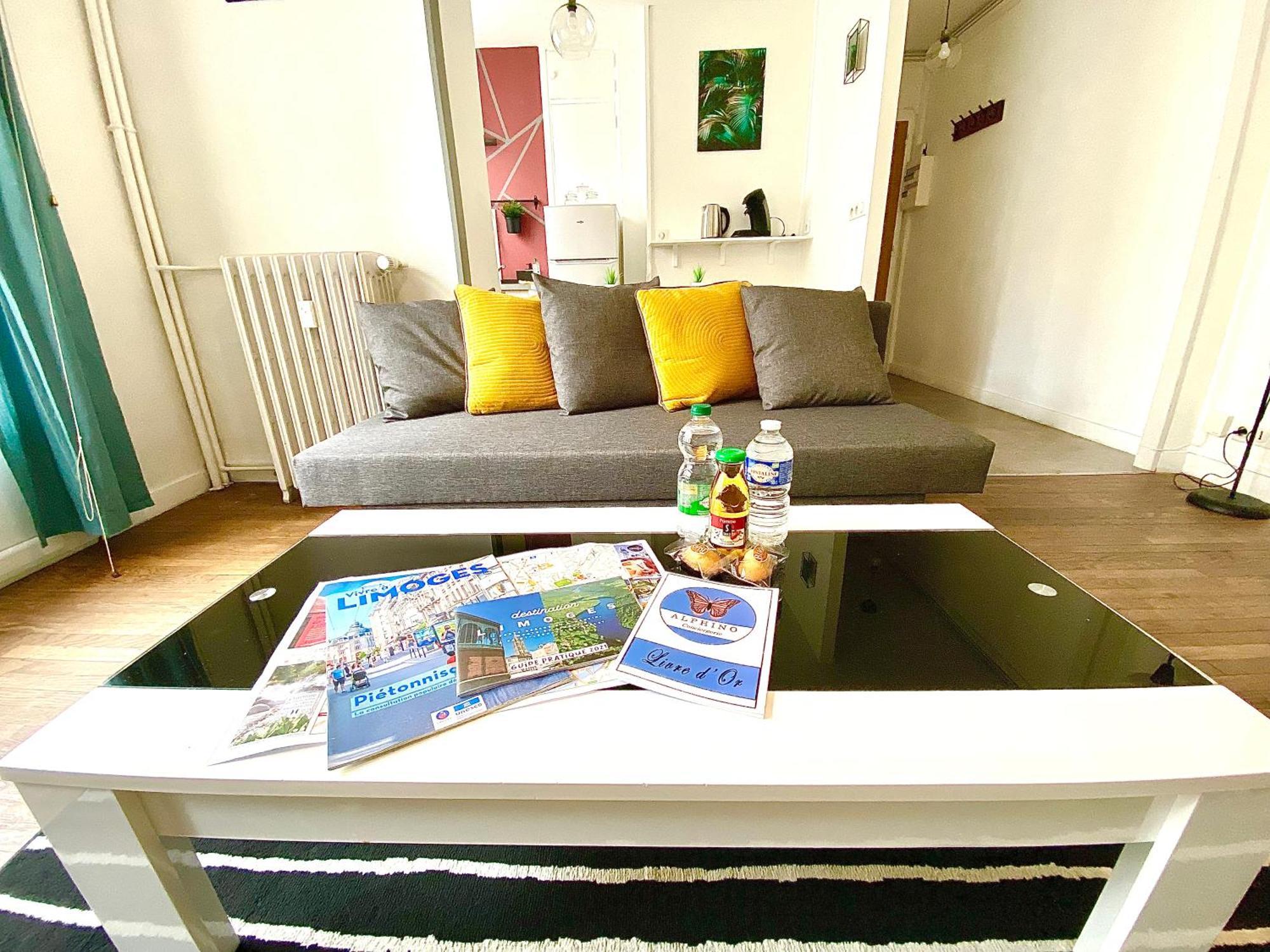 Le Chinchauvaud, Spacieux Avec Balcon Limoges Kültér fotó